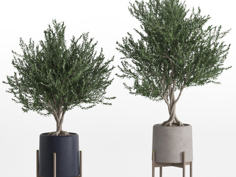 Plants collection 740 Model 3D