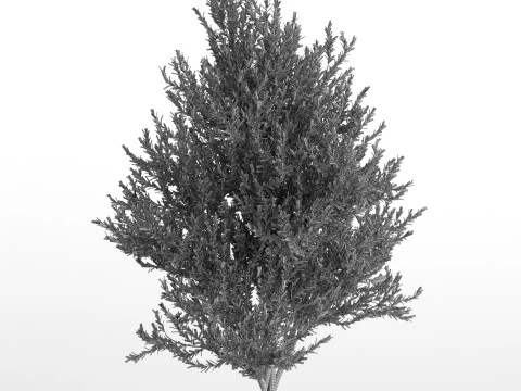 Plants collection 740 3D Model