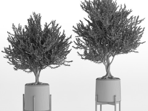 Plants collection 740 Model 3D
