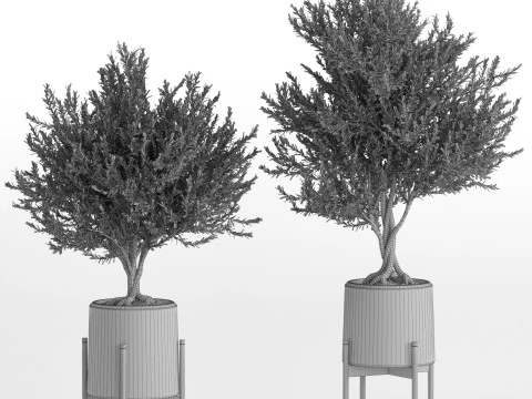 Plants collection 740 3D Model