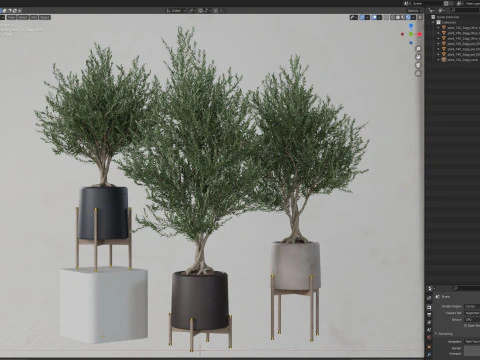 Plants collection 740 3D Model