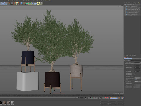 Plants collection 740 Model 3D
