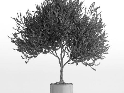 Plants collection 741 3D Model