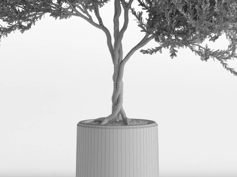 Plants collection 741 3D Model