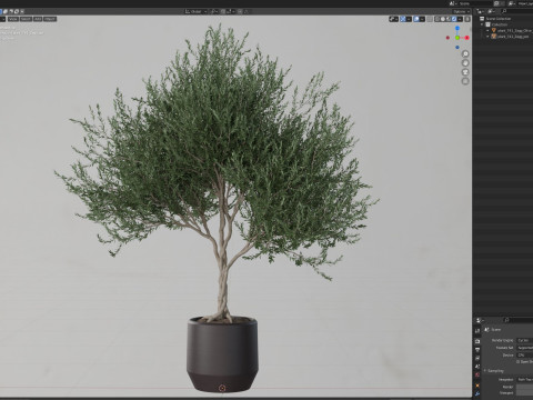 Plants collection 741 3D मॉडल