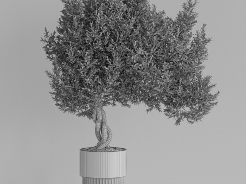 Plants collection 742 3D Модель