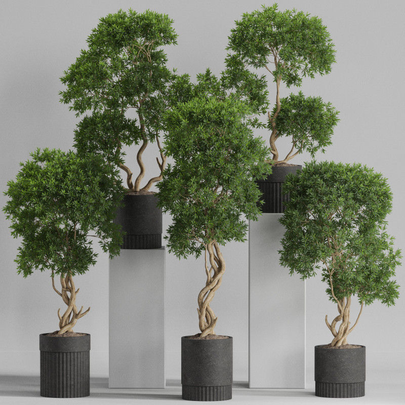 Plants collection 743 3Dモデル .c4d .max .obj .3ds .fbx .stl .blend