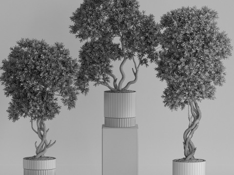Plants collection 743 3Dモデル
