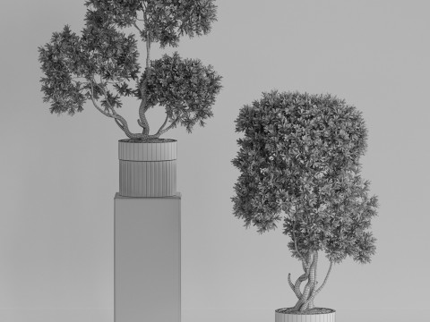 Plants collection 743 3Dモデル