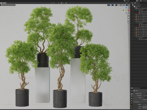 Plants collection 743 3Dモデル