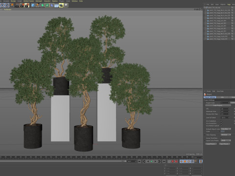 Plants collection 743 3Dモデル