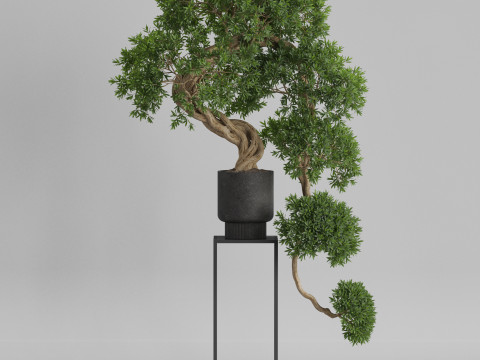 Plants collection 744 3D Model