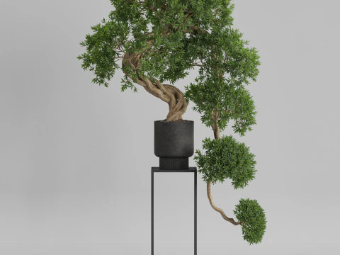 Plants collection 744 3D Model