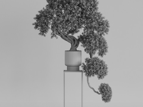 Plants collection 744 3D Model