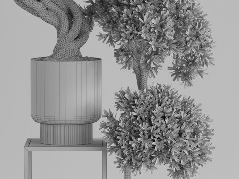 Plants collection 744 3D Model