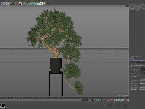 Plants collection 744 3D Model