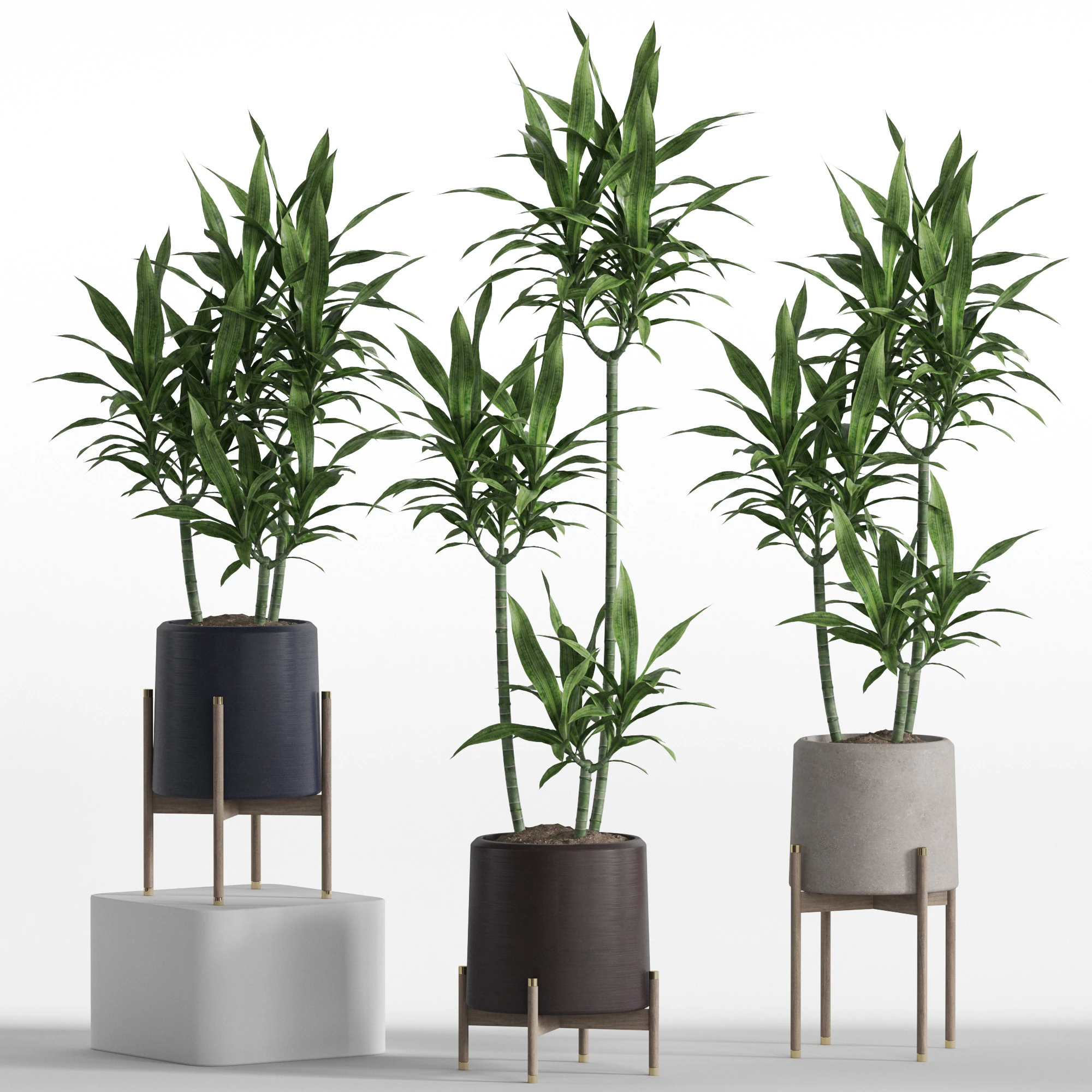 Plants collection 745 3D Model .c4d .max .obj .3ds .fbx .stl .blend 
