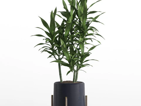 Plants collection 745 3D Model