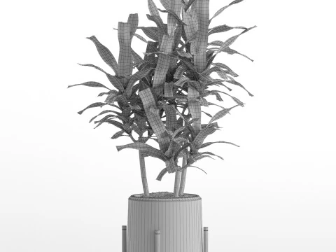 Plants collection 745 3D Model
