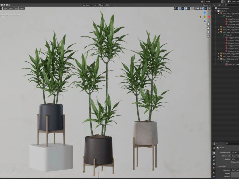 Plants collection 745 3D Model