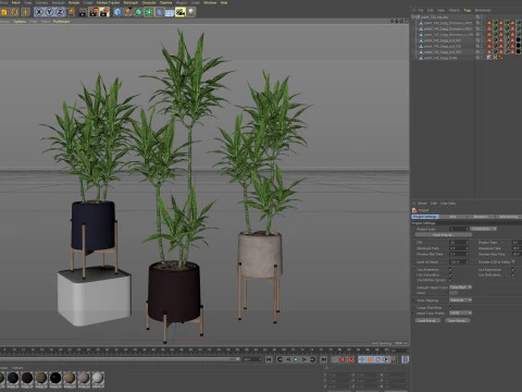 Plants collection 745 3D Model