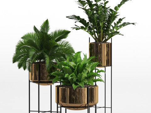 Plants collection 746 3D Model