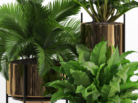 Plants collection 746 3D Model