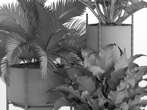 Plants collection 746 3D Model