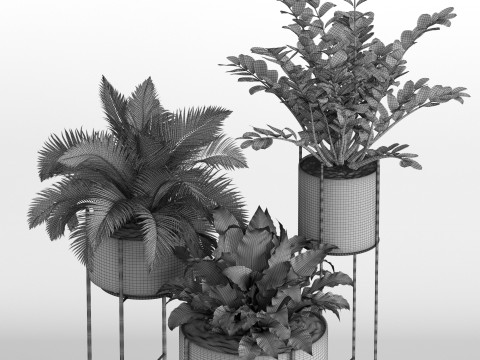 Plants collection 746 3D Model