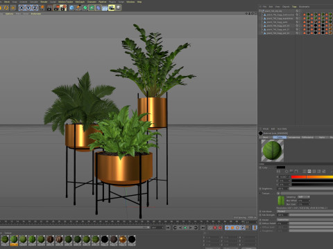 Plants collection 746 3D Model