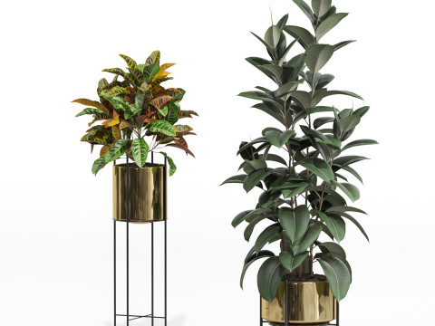 Plants collection 747 3D Model