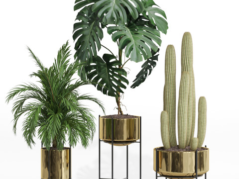 Plants collection 747 3D Model