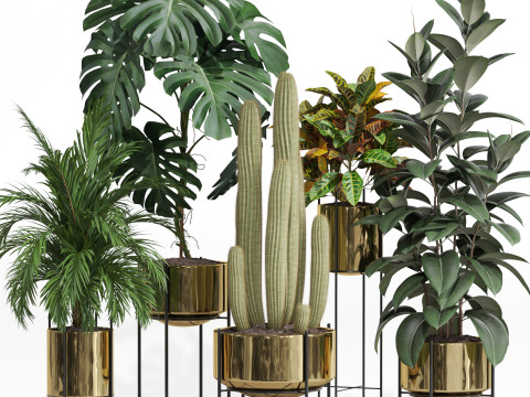 Plants collection 747 3Dモデル
