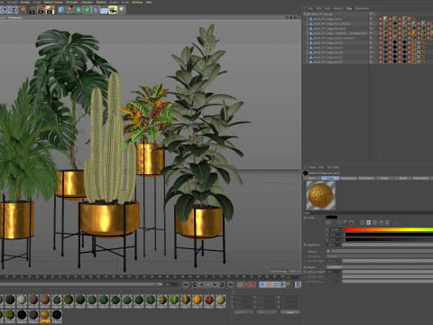 Plants collection 747 3D Model