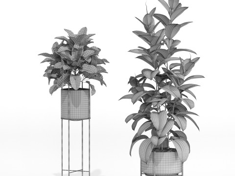 Plants collection 747 3D Model