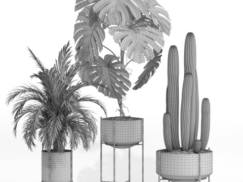 Plants collection 747 3D Model