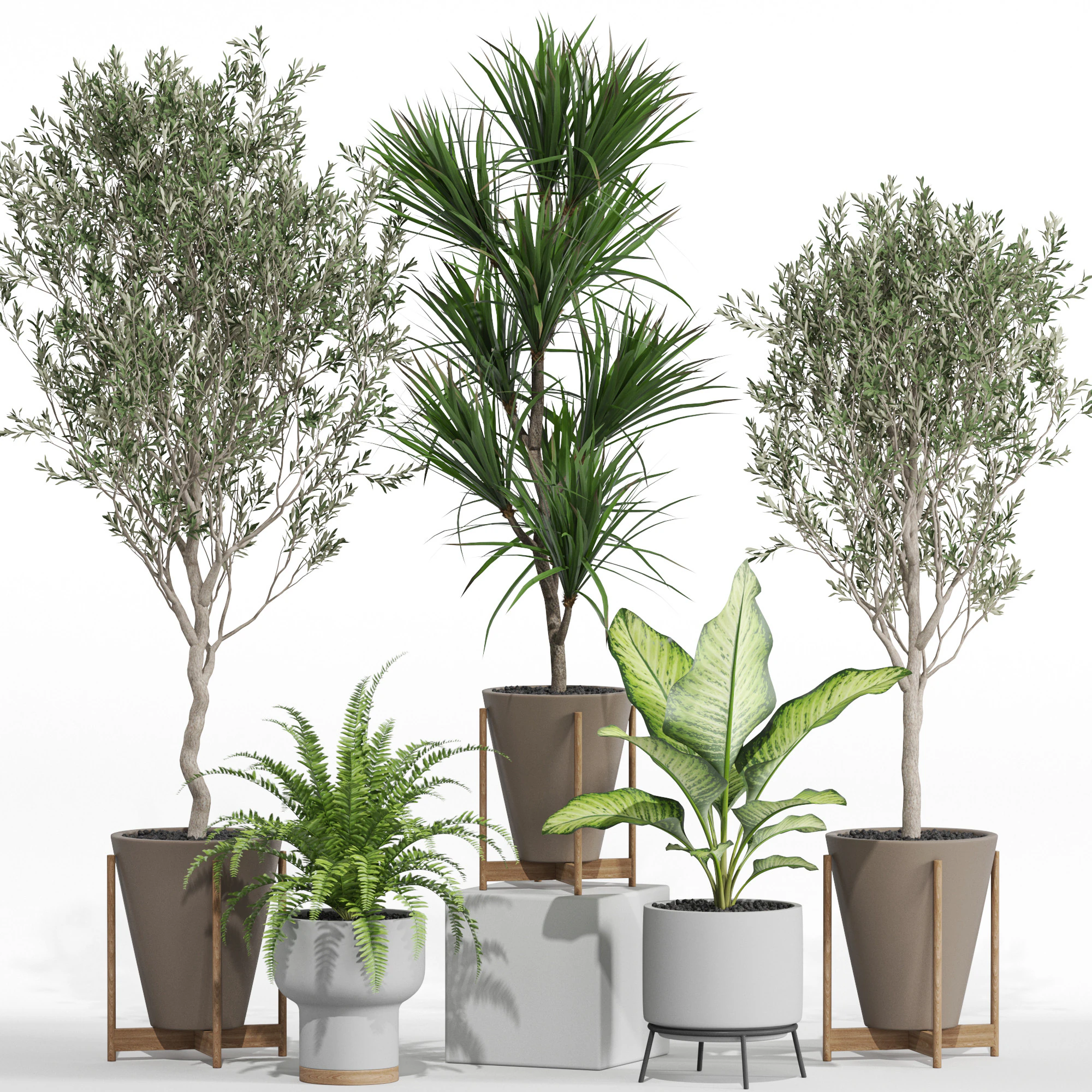 Plants collection 748 3D Model .c4d .max .obj .3ds .fbx .stl .blend 