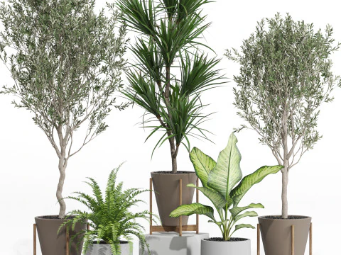 Коллекция растений 748 3D Модель