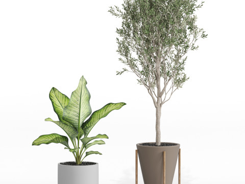 Plants collection 748 Modelo 3D
