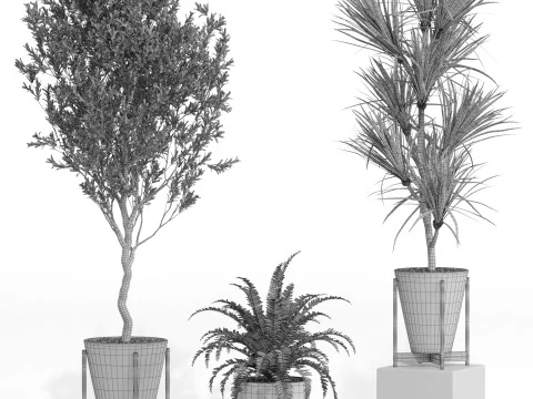 Plants collection 748 3D Model