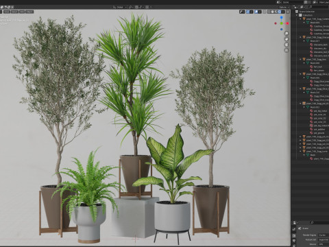 Plants collection 748 Modelo 3D