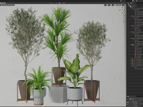Plants collection 748 3D Model
