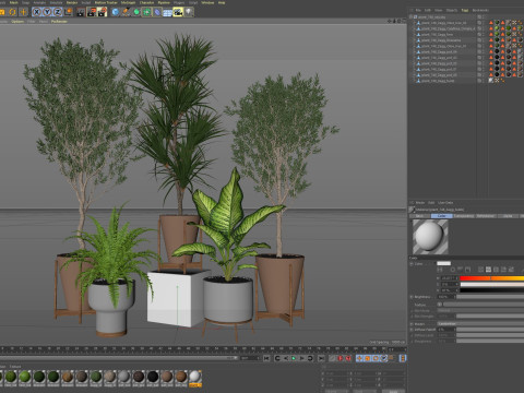 Plants collection 748 Modelo 3D