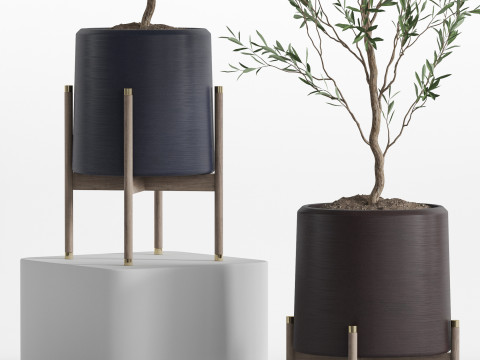 Plants collection 749 Modèle 3D