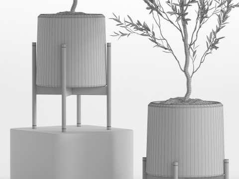 Plants collection 749 Modèle 3D