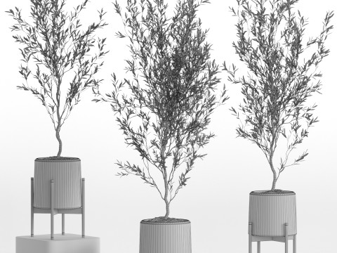 Plants collection 749 Modèle 3D