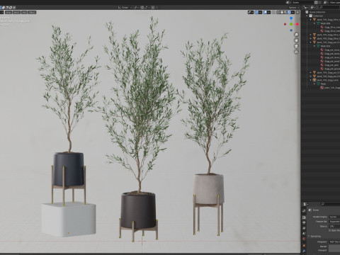 Plants collection 749 Modèle 3D