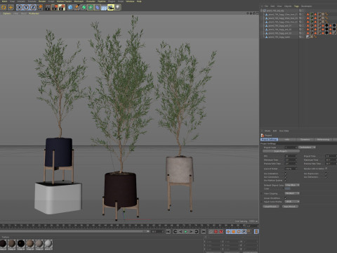 Plants collection 749 Modèle 3D