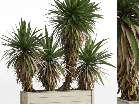 Коллекция растений 750 3D Модель