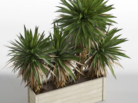 Plants collection 750 3D Model